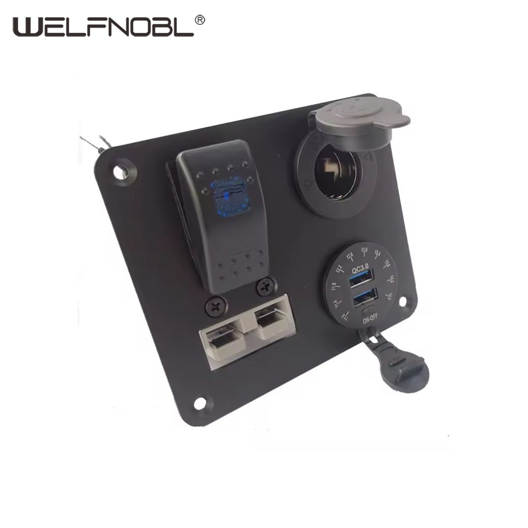 Modified car 12V Anderson socket combination panel