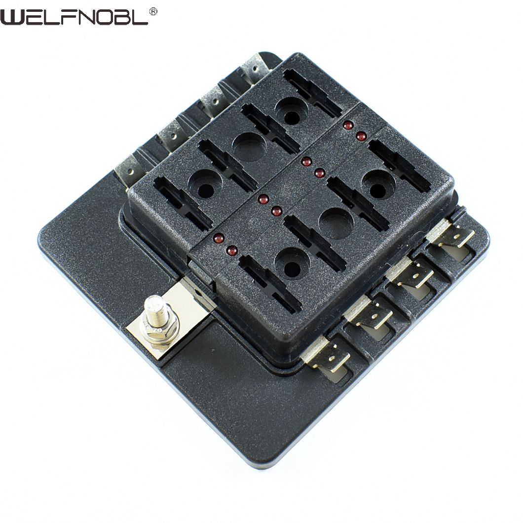 WNF-B0408 (19).jpg