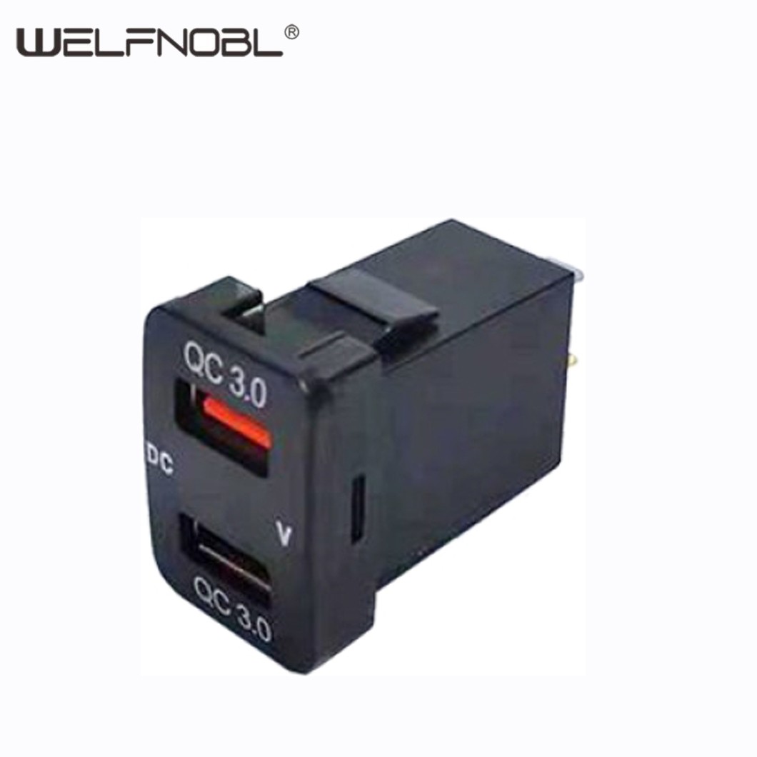 WNS-C08.jpg