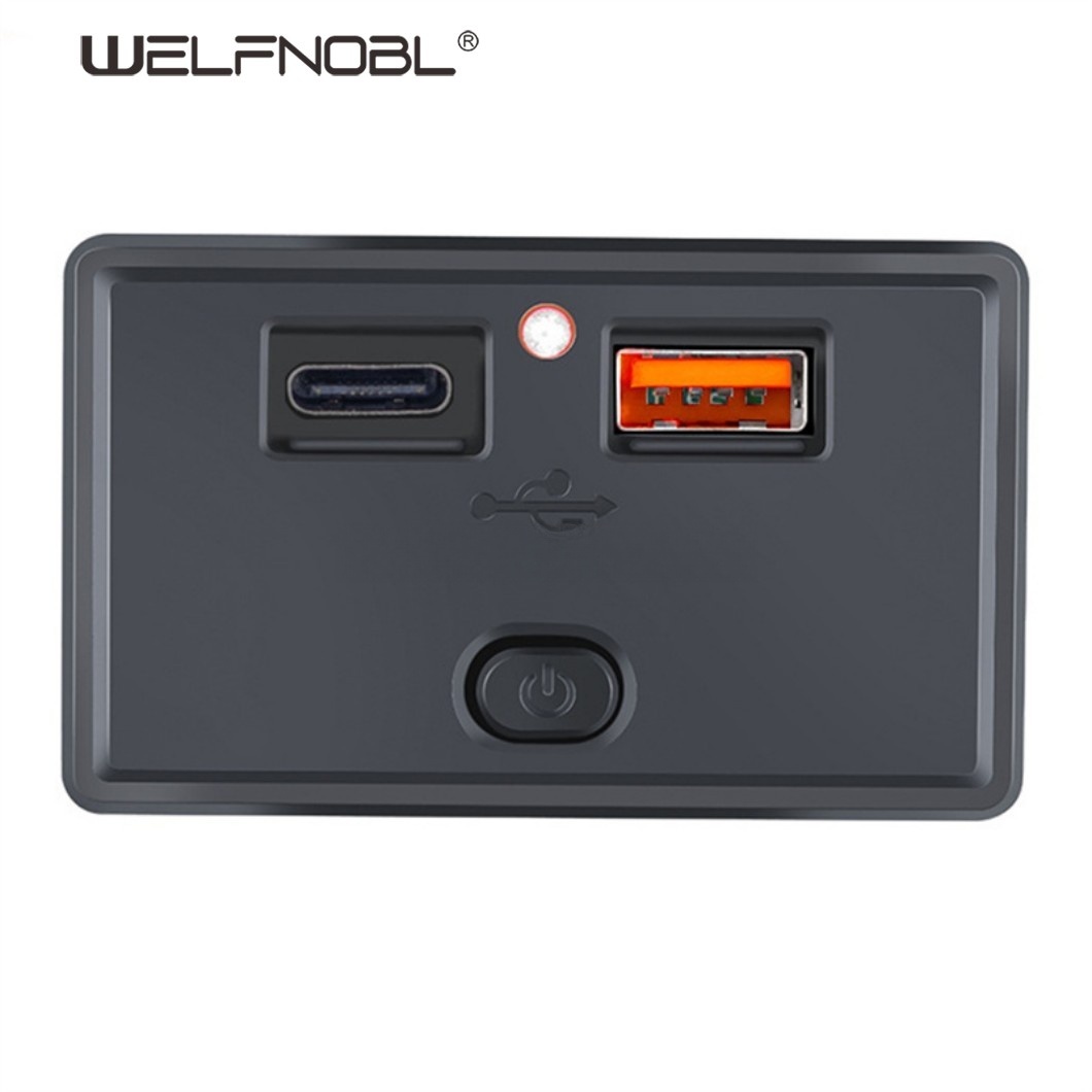 Panel Mount 2.4a+2.4a Bus Charger