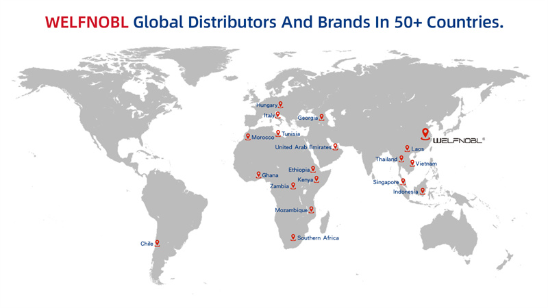 2018 – Global Expansion