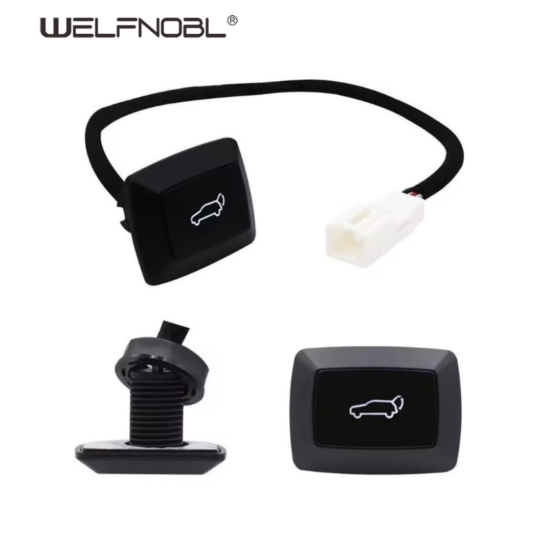 motorcycle battery kill switch