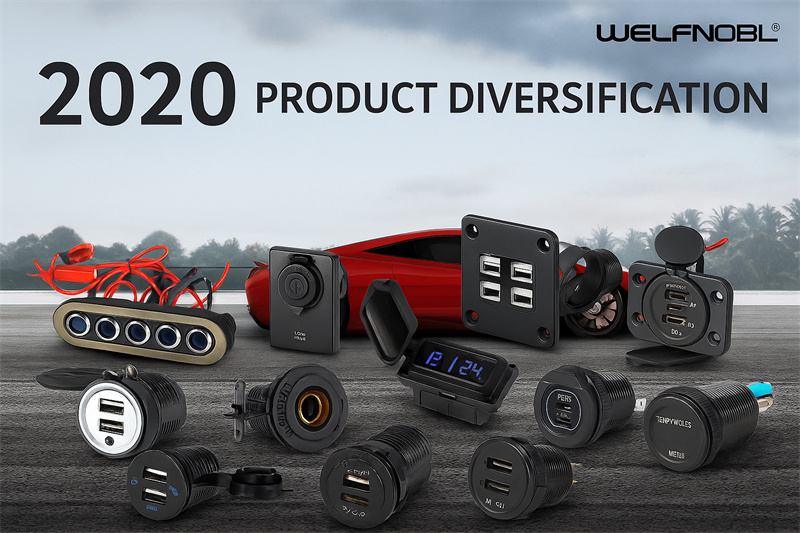 2020 – Product Diversification